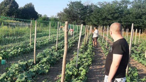 SAMO BORCI OPSTAJU NA SELU: Porodica LJubisavljević iz Krušara kod Ćuprije, živi isključivo od poljoprivrede SAMO BORCI OPSTAJU NA SELU: Porodica LJubisavljević iz Krušara kod Ćuprije, živi isključivo od poljoprivrede