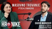 ŠTA JE UBILO VIŠE OD 800 ŽIVOTINJA? Priče iz hronike - Pravnik Davor Marković o jezivom pomoru ptica i srna kod Kikinde (VIDEO)