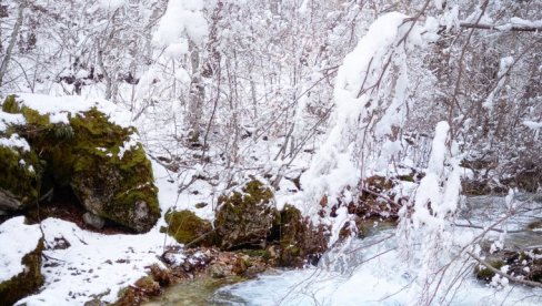POD SUMNJOM ODVOĐENJE VODA LJEVAJE ZBOG SKIJANJA: Talasanje u Kolašinu povodom Projekta osnežavanja ski staza na Bjelasici