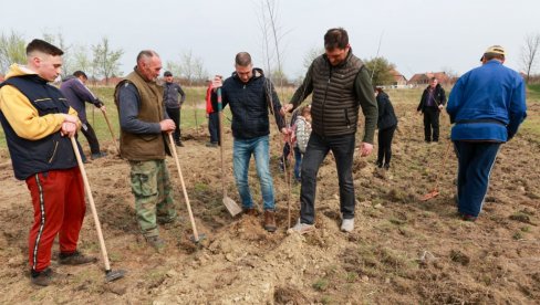 ZASAĐENO 200 SADNICA: Akcija pošumljavanja u Novim Kozarcima kod Kikinde ZASAĐENO 200 SADNICA: Akcija pošumljavanja u Novim Kozarcima kod Kikinde