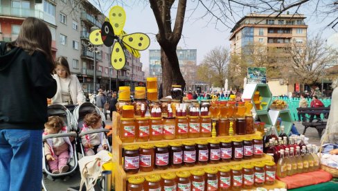 PARAĆIN U SUBOTU CENTAR MEDA I VINA: Sve spremno za dve velike manifestacije (FOTO) PARAĆIN U SUBOTU CENTAR MEDA I VINA: Sve spremno za dve velike manifestacije (FOTO)