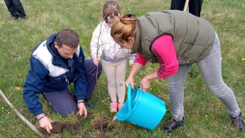 ZA SVAKO DETE STABLO UKRASNOG BAGREMA: Ispred vrtića u Karlovčiću, kraj Pećinaca, mališani i roditelji u akciji ZA SVAKO DETE STABLO UKRASNOG BAGREMA: Ispred vrtića u Karlovčiću, kraj Pećinaca, mališani i roditelji u akciji