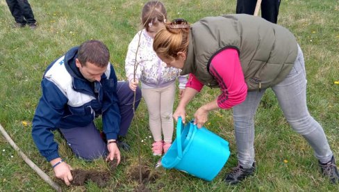 ZA SVAKO DETE STABLO UKRASNOG BAGREMA: Ispred vrtića u Karlovčiću, kraj Pećinaca, mališani i roditelji u akciji