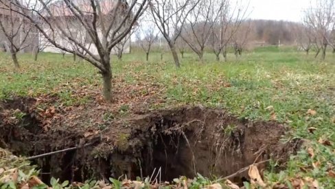 RUPA SE POJAVILA NIOTKUDA: Na plantaži lešnika misterija, otvorila se zemlja (FOTO) RUPA SE POJAVILA NIOTKUDA: Na plantaži lešnika misterija, otvorila se zemlja (FOTO)