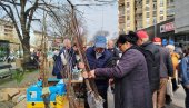 RADOSLAV GODIĆ PROIZVODI EVODIJU: Medonosno drvo sadi se do kraja marta (FOTO) RADOSLAV GODIĆ PROIZVODI EVODIJU: Medonosno drvo sadi se do kraja marta (FOTO)