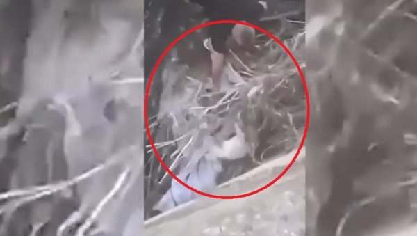 ХУМАНОСТ НА ДЕЛУ У БЕРАНАМА: Спасао пса из набујалог Лима ХУМАНОСТ НА ДЕЛУ У БЕРАНАМА: Спасао пса из набујалог Лима