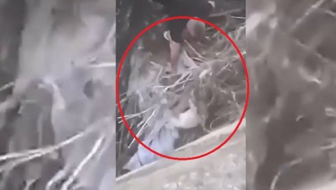HUMANOST NA DELU U BERANAMA: Spasao psa iz nabujalog Lima HUMANOST NA DELU U BERANAMA: Spasao psa iz nabujalog Lima