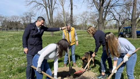 SRBIJI NEDOSTAJE 200 MILIONA STABALA: Potrebno pošumljavanje gradova i sela SRBIJI NEDOSTAJE 200 MILIONA STABALA: Potrebno pošumljavanje gradova i sela