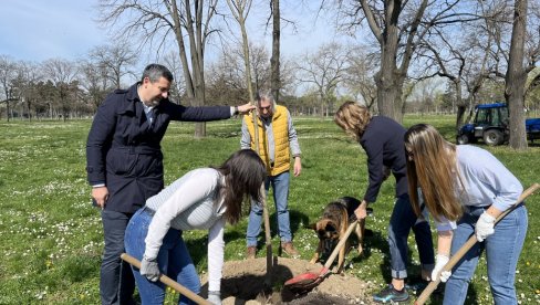 SRBIJI NEDOSTAJE 200 MILIONA STABALA: Potrebno pošumljavanje gradova i sela