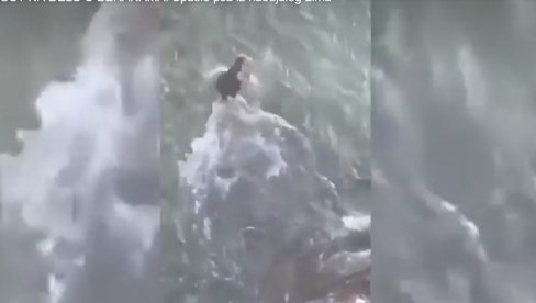 HUMANOST NA DELU U BERANAMA: Spasio psa iz nabujalog Lima HUMANOST NA DELU U BERANAMA: Spasio psa iz nabujalog Lima