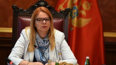 КО ЈЕ БИО ПРОТИВ СКАНДАЛОЗНЕ ПРЕПОРУКЕ: Представница Црне Горе против лажне државе