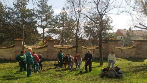 DA OZELENE ŠKOLSKA DVORIŠTA: Širom Vršca posađeno još 2.280 stabala DA OZELENE ŠKOLSKA DVORIŠTA: Širom Vršca posađeno još 2.280 stabala