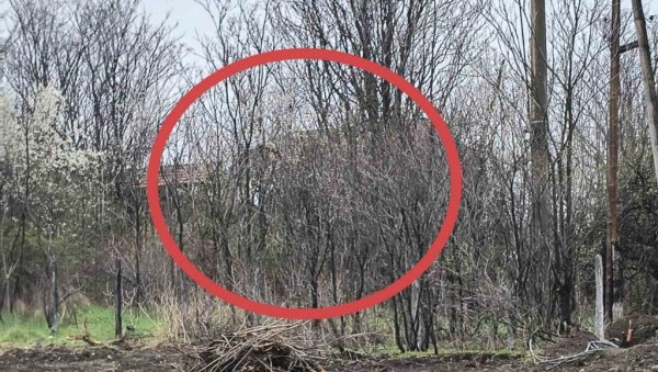ОВДЕ ЈЕ НЕСТАЛА МАЛА ДАНКА: Полиција чешља сваки милиметар у потрази за двогодишњом девојчицом (ФОТО) ОВДЕ ЈЕ НЕСТАЛА МАЛА ДАНКА: Полиција чешља сваки милиметар у потрази за двогодишњом девојчицом (ФОТО)