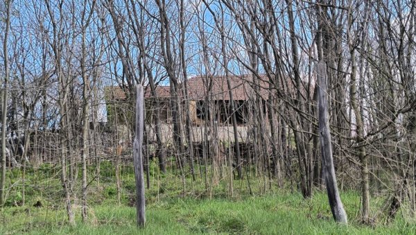 ОДРАСТАО ЧОВЕК НЕ МОЖЕ ДА ХОДА, А КАМОЛИ ДЕТЕ Комшија тврди: Девојчица би прво пала или села на оваквом терену (ВИДЕО) ОДРАСТАО ЧОВЕК НЕ МОЖЕ ДА ХОДА, А КАМОЛИ ДЕТЕ Комшија тврди: Девојчица би прво пала или села на оваквом терену (ВИДЕО)