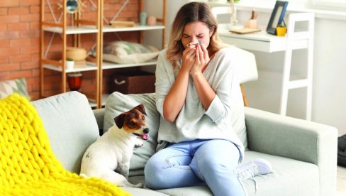 SEZONA JE ALERGIJA: Ako antihistaminici ne pomažu - imunoterapija je jedino rešenje SEZONA JE ALERGIJA: Ako antihistaminici ne pomažu - imunoterapija je jedino rešenje