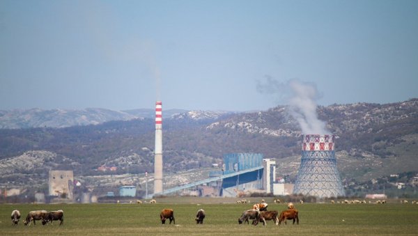 У ГАЦКУ ПРЕДСТАВЉЕН НОВИ ПРАВИЛНИК О ПОДСТИЦАЈИМА:  Већа издвајања за пољопривреду