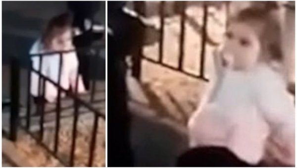 ДВЕ СТВАРИ СУ ЧУДНЕ, ТАКО СЕ МАЈКЕ ОВДЕ НЕ ПОНАШАЈУ: Србин из Беча открио детаље са снимка на ком је наводно Данка Илић ДВЕ СТВАРИ СУ ЧУДНЕ, ТАКО СЕ МАЈКЕ ОВДЕ НЕ ПОНАШАЈУ: Србин из Беча открио детаље са снимка на ком је наводно Данка Илић