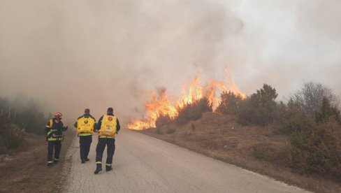 УГАШЕН ПОЖАРА У БАБИНАМА КОД ПРИЈЕПОЉА: Ватрогасци се изборили стихијом