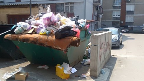 U VELIKOM GRADIŠTU Počela prolećna akcija čišćenja U VELIKOM GRADIŠTU Počela prolećna akcija čišćenja