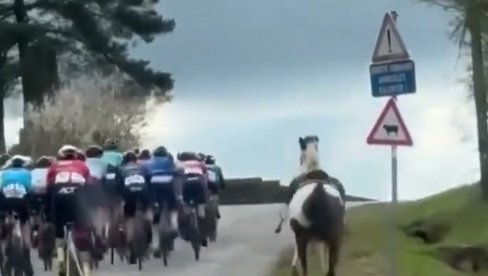 NAJLEPŠI POTEZ DANA: Konj je krenuo da uleće među bicikliste usred njihove trke, a onda se desilo - ovo (VIDEO) NAJLEPŠI POTEZ DANA: Konj je krenuo da uleće među bicikliste usred njihove trke, a onda se desilo - ovo (VIDEO)