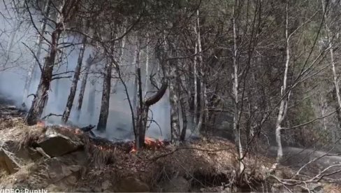 ПОЖАР У ГРЧКОЈ: Ватрогасци се већ трећи дан боре са пламеном на планинама Пијерија (ВИДЕО) ПОЖАР У ГРЧКОЈ: Ватрогасци се већ трећи дан боре са пламеном на планинама Пијерија (ВИДЕО)