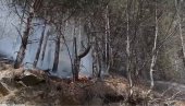 ПОЖАР У ГРЧКОЈ: Ватрогасци се већ трећи дан боре са пламеном на планинама Пијерија (ВИДЕО) ПОЖАР У ГРЧКОЈ: Ватрогасци се већ трећи дан боре са пламеном на планинама Пијерија (ВИДЕО)