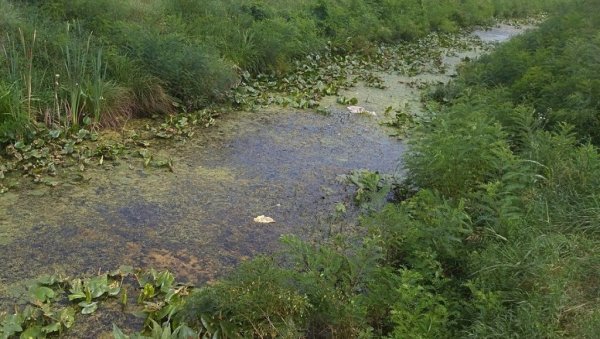 АКЦИЈА ГРАДА ПОЖАРЕВЦА: У пет села чисте се водотокови за 8,7 милиона АКЦИЈА ГРАДА ПОЖАРЕВЦА: У пет села чисте се водотокови за 8,7 милиона