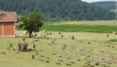 PODRŠKA ŽENAMA U POLJOPRIVREDI: Subvencije za vlasnice gazdinstava