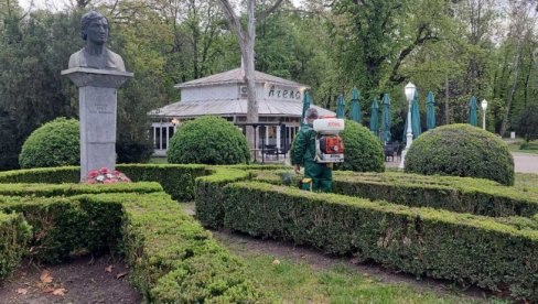 ŠIMŠIR - SIMBOL VRŠAČKOG PARKA: Od opasnog insekta zaštitili svih 1.300 metara živice ŠIMŠIR - SIMBOL VRŠAČKOG PARKA: Od opasnog insekta zaštitili svih 1.300 metara živice