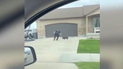 POLICIJA IMALA POSLA SA TVRDOGLAVOM ŽIVOTINJOM: Sniimak postao hit na društvenim mrežama, ovo morate videti (VIDEO) POLICIJA IMALA POSLA SA TVRDOGLAVOM ŽIVOTINJOM: Sniimak postao hit na društvenim mrežama, ovo morate videti (VIDEO)