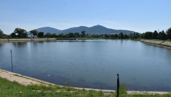 СТРУЈОМ УСМРТИЛИ РИБУ: Ево ко је крив за екоцид на Градском језеру у Вршцу