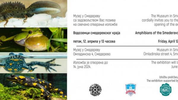 ВОДОЗЕМЦИ У СМЕДЕРЕВСКОМ МУЗЕЈУ: Поводом дана установе 12.априла изложба Водоземци смедеревског краја ВОДОЗЕМЦИ У СМЕДЕРЕВСКОМ МУЗЕЈУ: Поводом дана установе 12.априла изложба Водоземци смедеревског краја