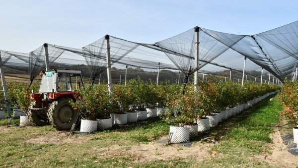ДОМАЋИНИМА УКУПНО 95 МИЛИОНА: Мере за подстицај пољопривреде краљевачког краја ДОМАЋИНИМА УКУПНО 95 МИЛИОНА: Мере за подстицај пољопривреде краљевачког краја