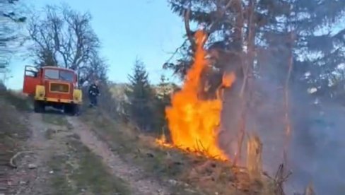 DRAMA KOD  BERANA: Vatrena stihija zapretila ljudima, vatrogasci brane kuće, avion stigao u pomoć (FOTO)