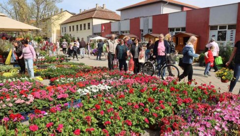 PROLEĆNI FESTIVAL CVEĆA: Tradicionalno u Žitištu