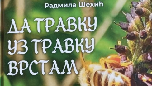 НАЂИ СВОЈУ ЗВЕЗДУ: У Дечјем културном центру Београд нова књига Радмиле Шехић и музички програм