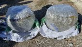 MUŠKARAC SA KIM UHAPŠEN SA 11 KILOGRAMA MARIHUANE: Pokušao da uđe u Mađarsku MUŠKARAC SA KIM UHAPŠEN SA 11 KILOGRAMA MARIHUANE: Pokušao da uđe u Mađarsku