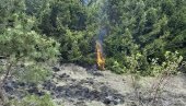 VATROGASCI OD RANOG JUTRA BIJU BITKU SA VATROM: Plamen menja pravac kod Trgovišta VATROGASCI OD RANOG JUTRA BIJU BITKU SA VATROM: Plamen menja pravac kod Trgovišta