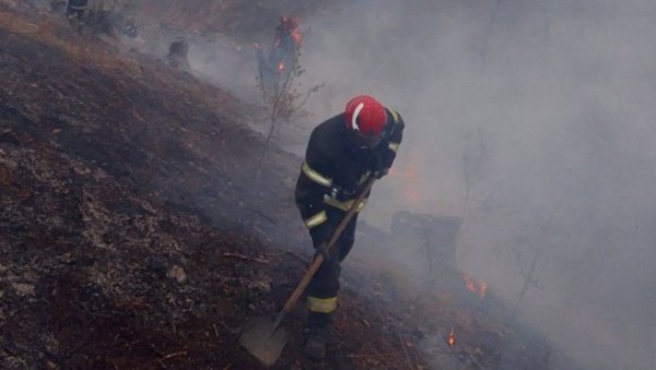 БУКТЕ ШУМСКИ ПОЖАРИ: Ватра се шири у Кушадасију, Измиру и провинцији Чанкале БУКТЕ ШУМСКИ ПОЖАРИ: Ватра се шири у Кушадасију, Измиру и провинцији Чанкале