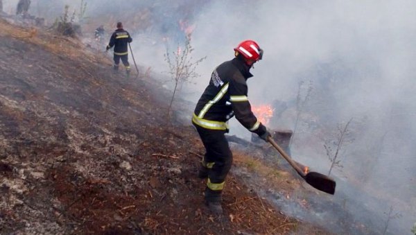 ИЗАЗВАО ВЕЛИКИ ПОЖАР: Сомборац ухапшен због паљења растиња ИЗАЗВАО ВЕЛИКИ ПОЖАР: Сомборац ухапшен због паљења растиња