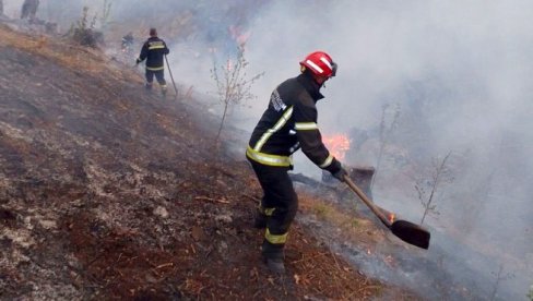 IZAZVAO VELIKI POŽAR: Somborac uhapšen zbog paljenja rastinja IZAZVAO VELIKI POŽAR: Somborac uhapšen zbog paljenja rastinja
