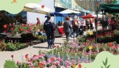 NAJVEĆI SAJAM HORTIKULTURE U SRBIJI: Na Šumadija sajmu u Kragujevcu više od 100 izlagača