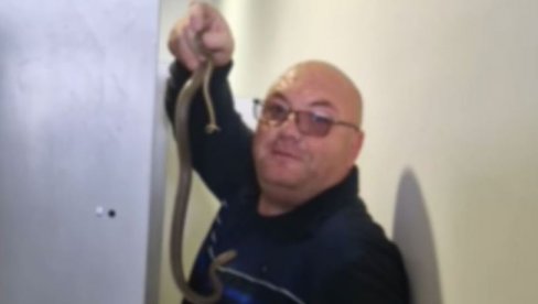 VLADICA IZ ORMARA IZVUKAO ZMIJU DUGU CEO METAR: Neverovatan slučaj u Vranju - Čuju se ženski vrisci, kamera sve snimila (VIDEO) VLADICA IZ ORMARA IZVUKAO ZMIJU DUGU CEO METAR: Neverovatan slučaj u Vranju - Čuju se ženski vrisci, kamera sve snimila (VIDEO)