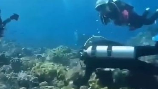 ЗАСТРАШУЈУЋЕ... КАО НОЋНА МОРА: Погледајте како изгледа када вас снажан земљотрес затекне док сте под водом (ВИДЕО) ЗАСТРАШУЈУЋЕ... КАО НОЋНА МОРА: Погледајте како изгледа када вас снажан земљотрес затекне док сте под водом (ВИДЕО)