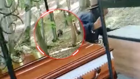 DRAMA NA SAHRANI: Upao medved, ljudi vrištali - sve snimljeno (VIDEO) DRAMA NA SAHRANI: Upao medved, ljudi vrištali - sve snimljeno (VIDEO)