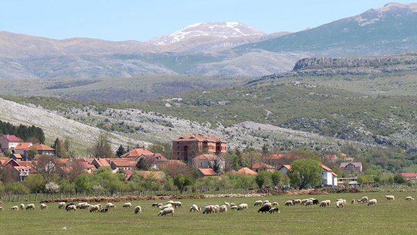 КОРИСНИЦИ ИЗ ОПШТИНЕ ГАЦКО УСПЕШНО ПРОШЛИ ПРОЈЕКАТ ЕУ: Помоћ развоју сеоског туризма КОРИСНИЦИ ИЗ ОПШТИНЕ ГАЦКО УСПЕШНО ПРОШЛИ ПРОЈЕКАТ ЕУ: Помоћ развоју сеоског туризма