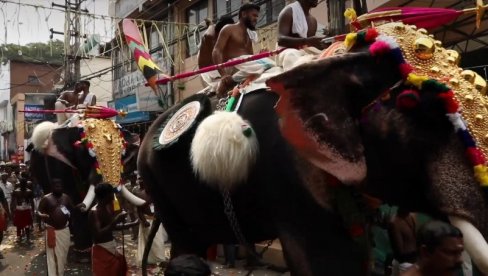 FESTIVAL U INDIJI: Ukrašeni slonovi pridružuju se hiljadama Hindusa (VIDEO) FESTIVAL U INDIJI: Ukrašeni slonovi pridružuju se hiljadama Hindusa (VIDEO)