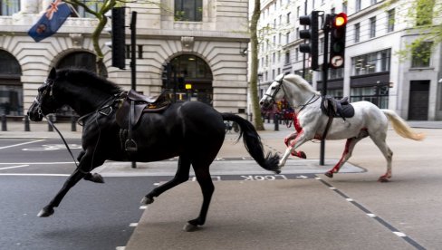KRVAVI KONJI JURILI LONDONOM: Nazapamćen incident u britanskoj prestonici KRVAVI KONJI JURILI LONDONOM: Nazapamćen incident u britanskoj prestonici