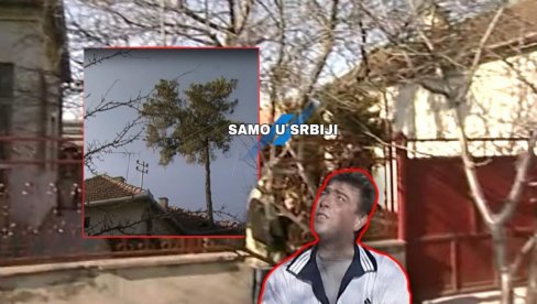 RASTE IZ KUĆE: Srušili staru, zidali novu - deda NIJE dao da se POSEČE drvo! Na genijalan način ispunili zavet starine RASTE IZ KUĆE: Srušili staru, zidali novu - deda NIJE dao da se POSEČE drvo! Na genijalan način ispunili zavet starine