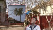 RASTE IZ KUĆE: Srušili staru, zidali novu - deda NIJE dao da se POSEČE drvo! Na genijalan način ispunili zavet starine RASTE IZ KUĆE: Srušili staru, zidali novu - deda NIJE dao da se POSEČE drvo! Na genijalan način ispunili zavet starine